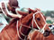 Bonecrusher (left) edges out Our Waverley Star to win the 1986 W. S. Cox Plate