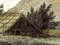 Pā in Queen Charlotte Sound, 1780s