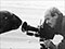 Natural History Unit camera operator Robert Brown gets up close to a sea lion