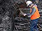 Archaeologists working in Dunedin, 2012