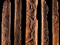 Carved planks from a Moriori house