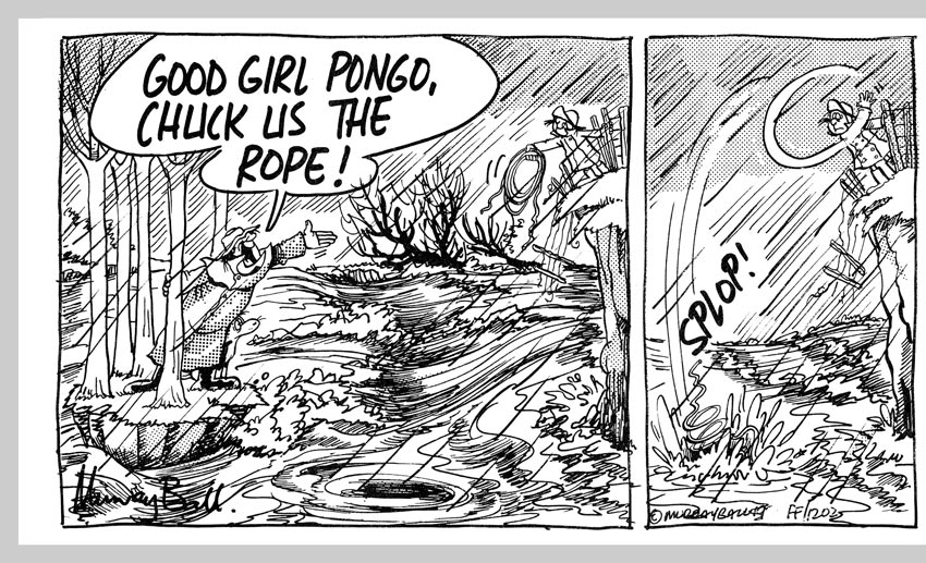 Murray Ball’s Footrot Flats