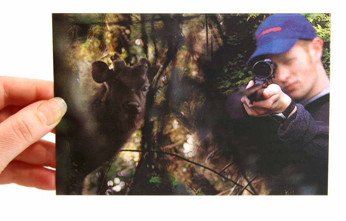 Mountain Safety Council postcard