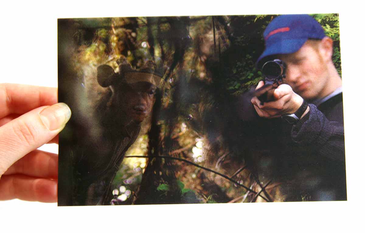 Mountain Safety Council postcard
