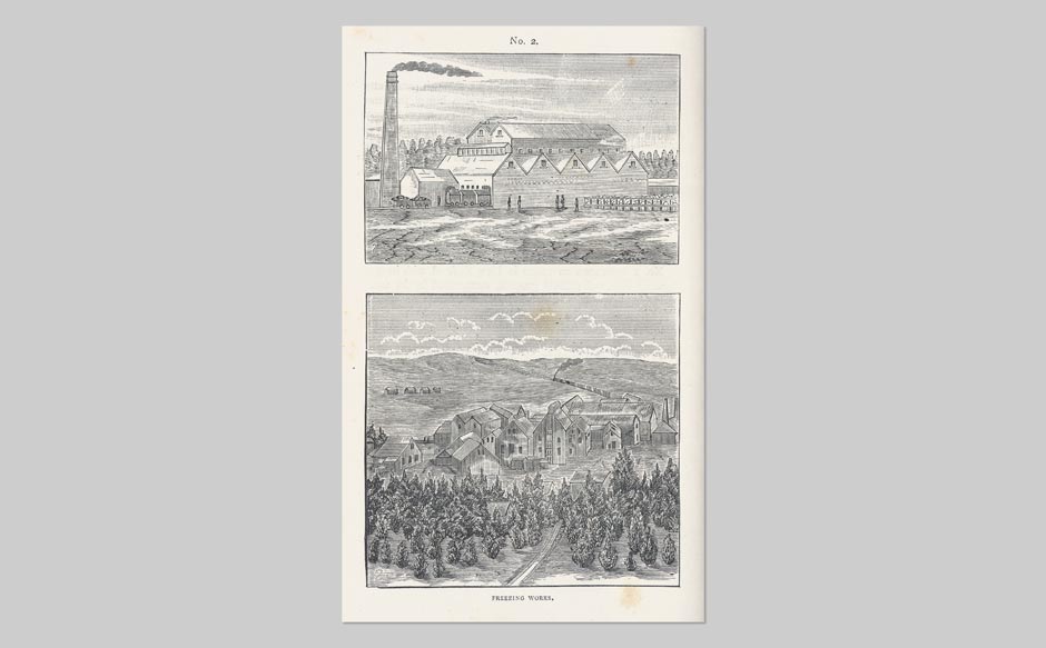 History of a New Zealand Sheep