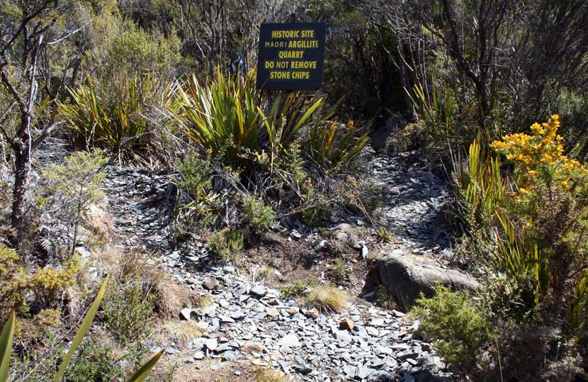 Photo of argillite quarry showing many stone chips