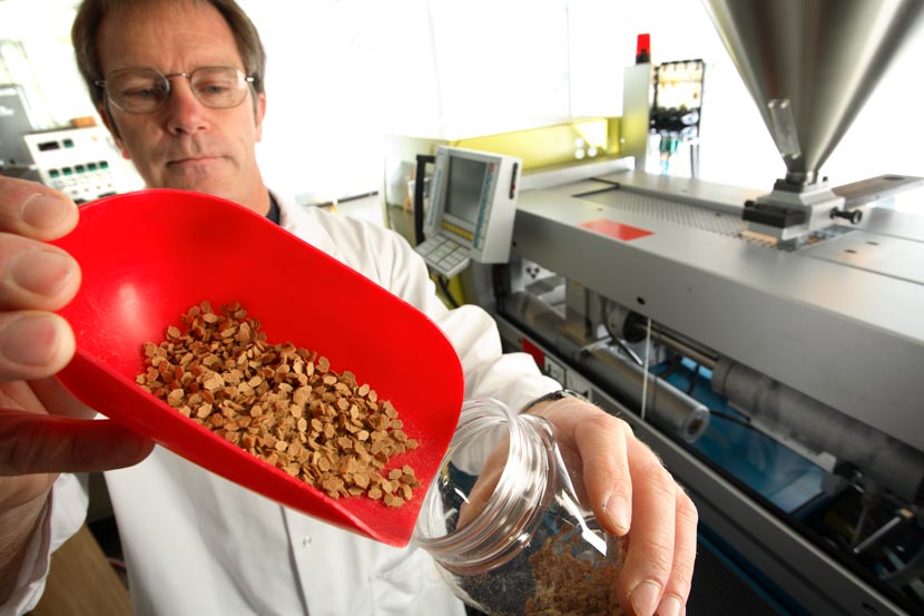 Scion biomaterials research