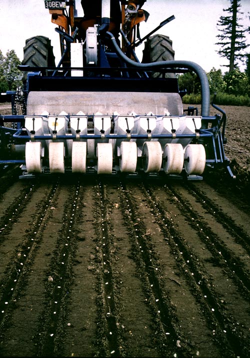 Precision sower