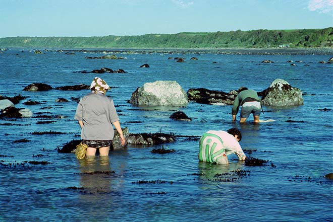 Three women wade in thigh-deep water along a rocky coast