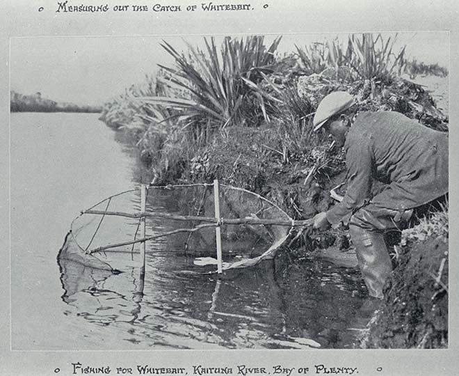 A man submerges a net in the water on the edge of a riverbank