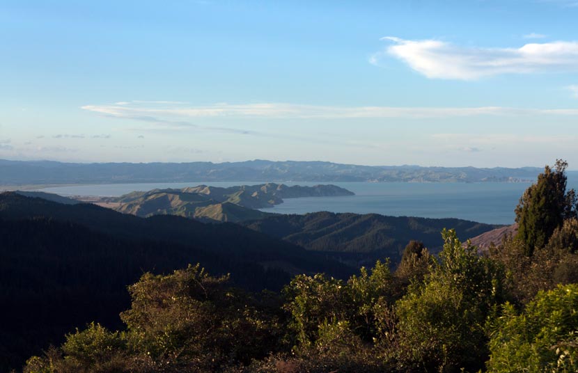 Te Kurī-a-Pāoa/Young Nicks Head