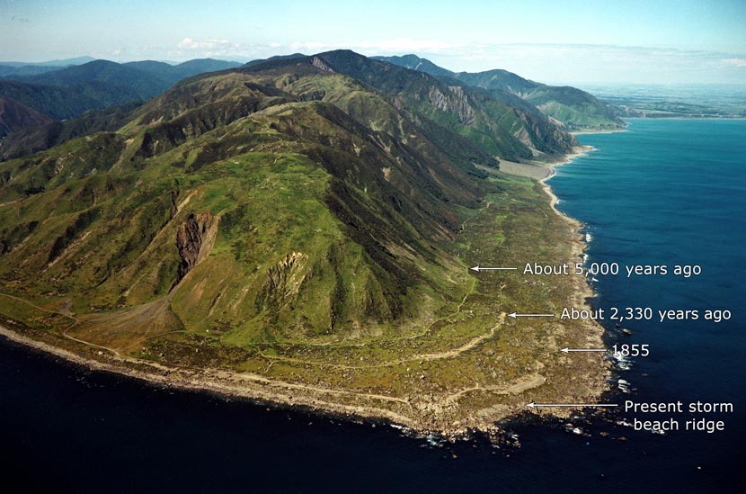 Uplifted storm beaches, Turakirae Head