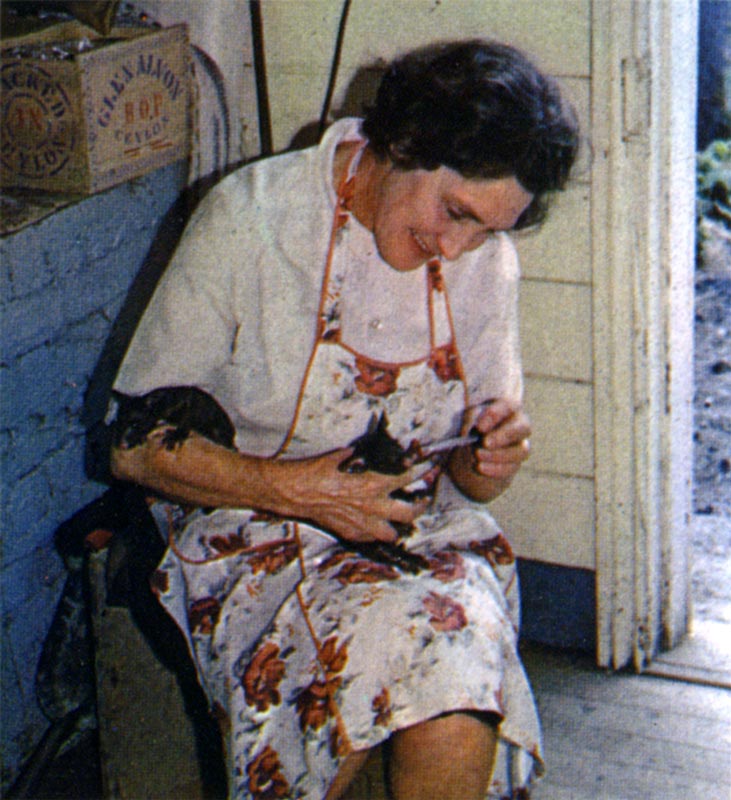 Feeding a baby possum