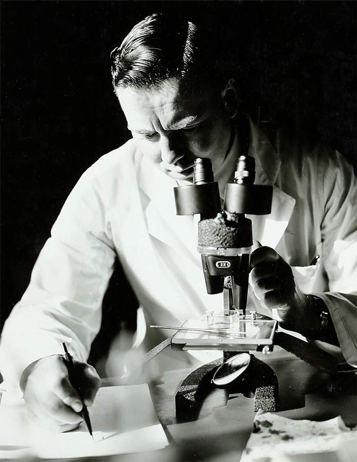 Dr John Salmon at the Dominion Museum, c. 1949