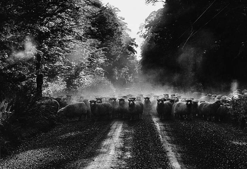 Eglinton Valley, 1970