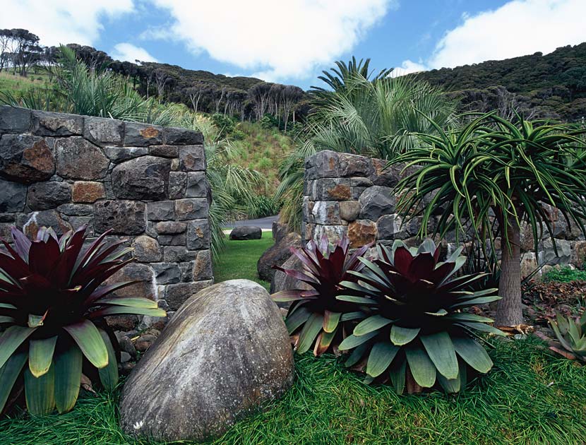 Photograph showing two low stone walls surrounded by boulders and plantings