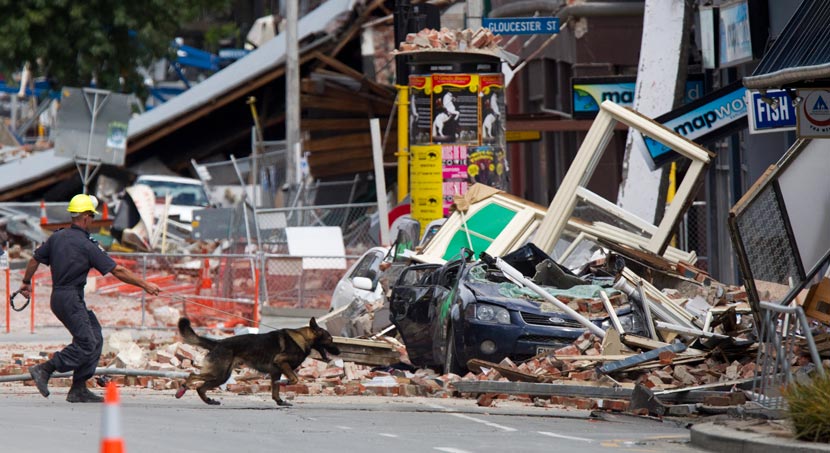 A city street filled with rubble with a dog handler in safety equipment and dog on a lead.