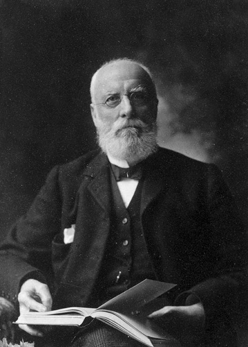 Bernard Charles Beale, skilled doctor, conscientious official, and disputatious local politician