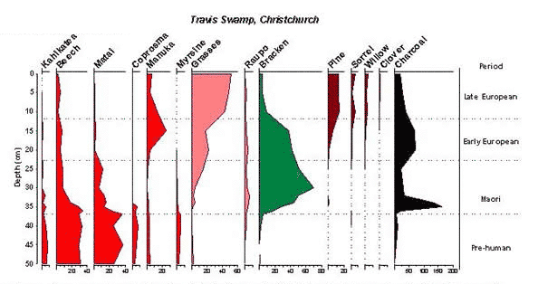 Analysis of pollen from Travis Swamp, Christchurch