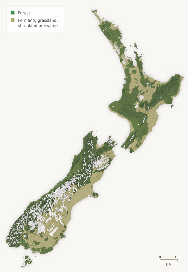 New Zealand vegetation cover around 1840 
