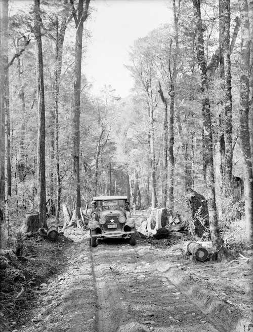 Newman Brothers' service car on a bush track
