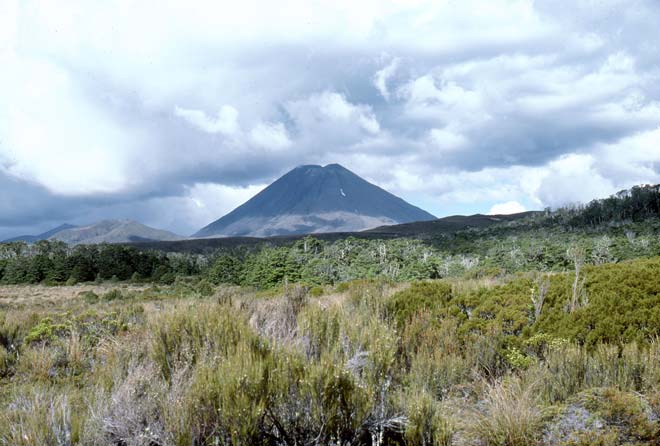 Heathland, Tongariro National Park