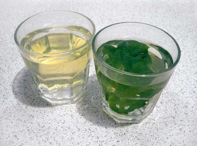 Kawakawa product 