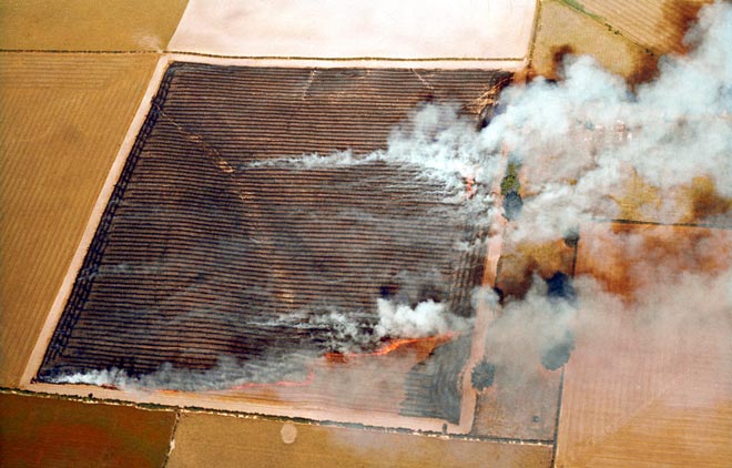 Burning stubble