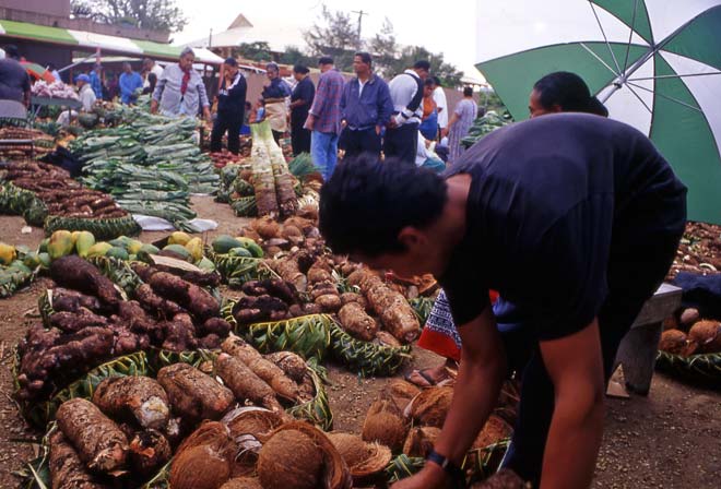Coconuts and taro, Tongan market, 2002