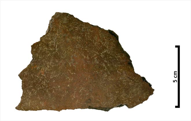 Polynesian plainware from Teouma, Vanuatu