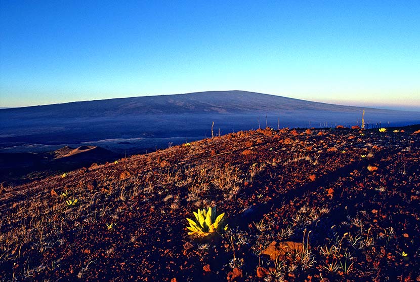 Mauna Loa, Hawaii 