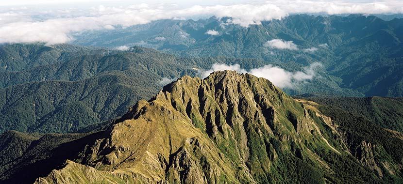 Hikurangi 