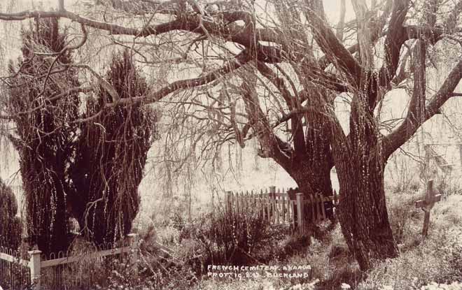 The cemetery 