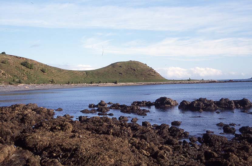 Kumanga Point 