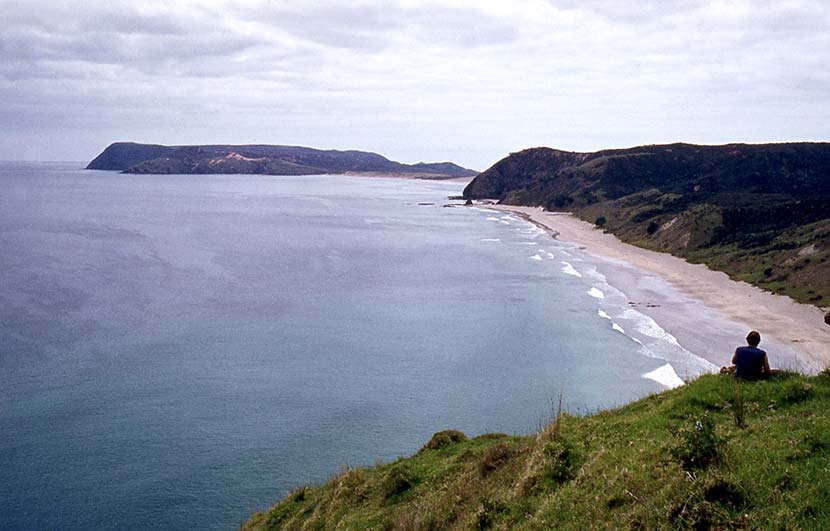 Takapaukura (Tom Bowling Bay)
