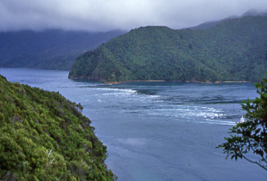 Te Aumiti (French Pass)