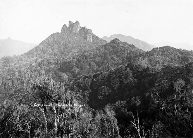Motutere (Castle Rock) 