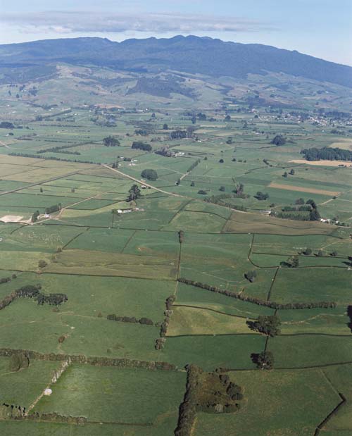 Pirongia, Waikato 