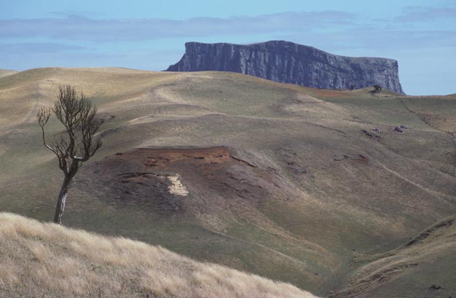 The Chatham Islands