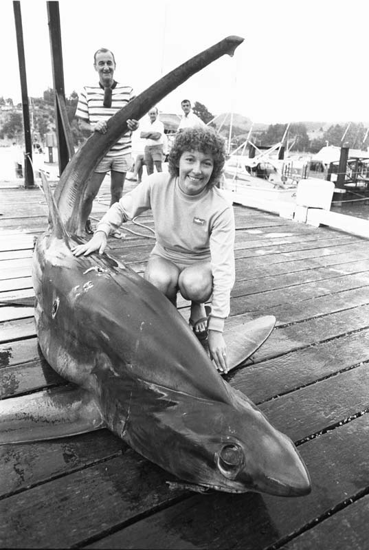 Record-beating thresher shark 
