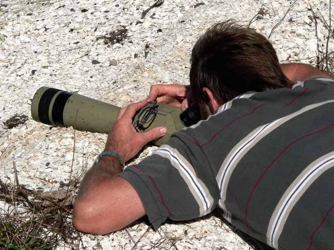 Ornithologist Adrian Riegen