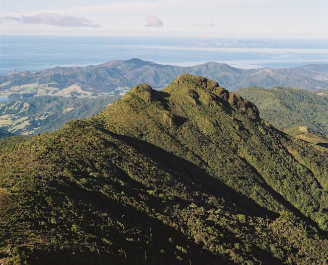 Mt Moehau