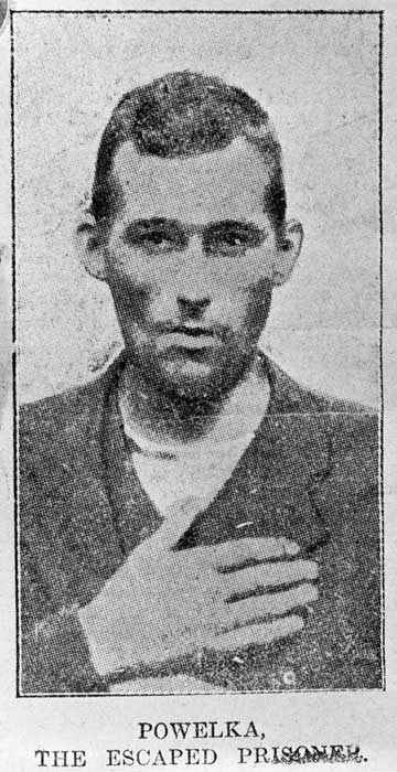 Joseph Pawelka