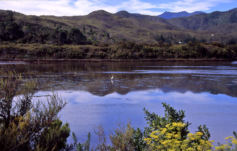 The story of Kaiwhakaruaki