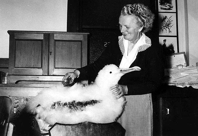 Rosa Olga Sansom, Director of the Southland Museum