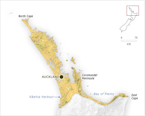 The northern ecoregion