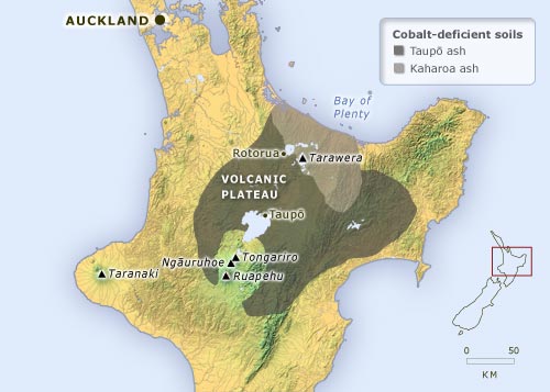 Cobalt-deficient areas