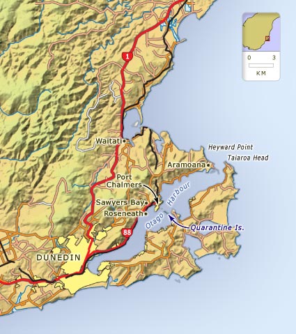 Otago Harbour