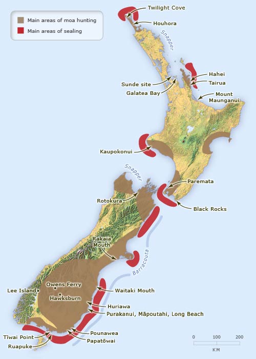 Moa and seal sites