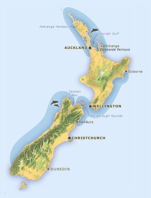 New Zealand distribution of the common dolphin